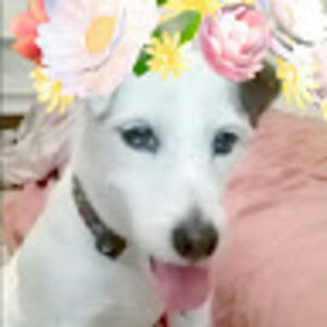 Meet your Posher, Aliyah